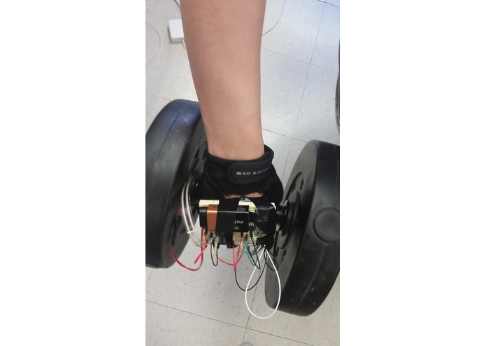 Gym Buddy – screenshot 2