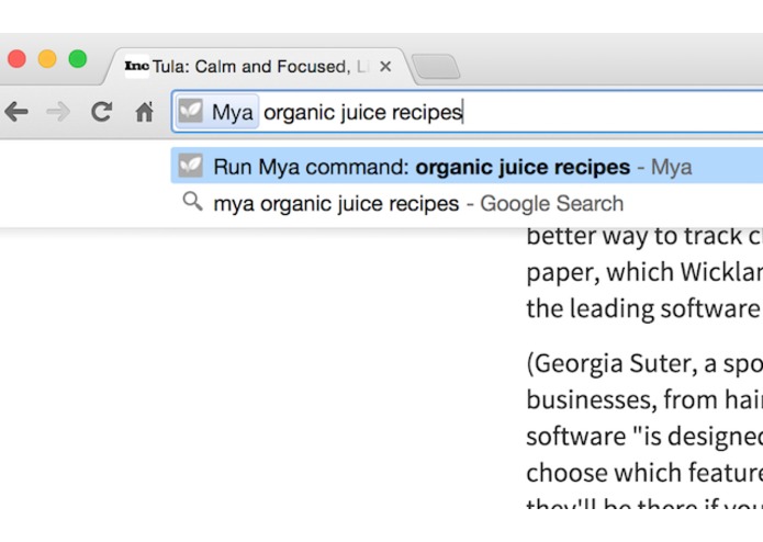 Mya's Extension for Chrome – screenshot 5