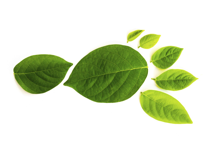 FoodWatchr – screenshot 1