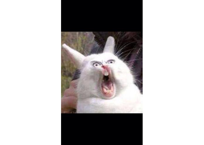 Michael – screenshot 1