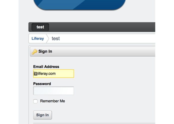CapitalONEAPIDemo – screenshot 2