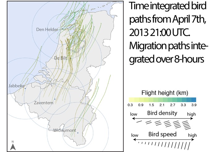 TIMAMP – screenshot 1