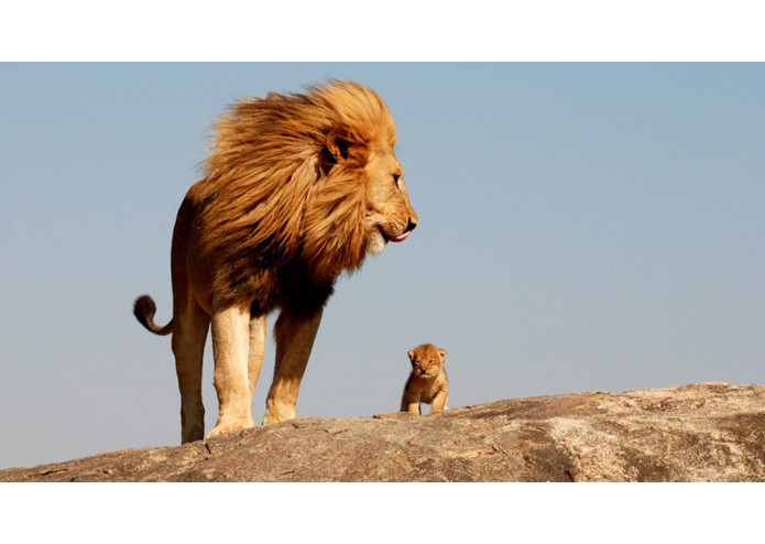 ExpressFit – screenshot 1