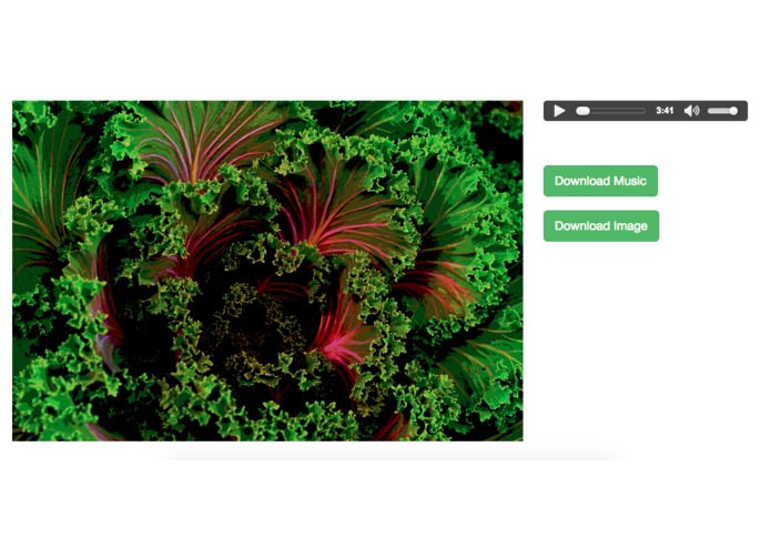 Noisy – screenshot 4