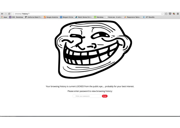 Protect Your Browsing History – screenshot 1