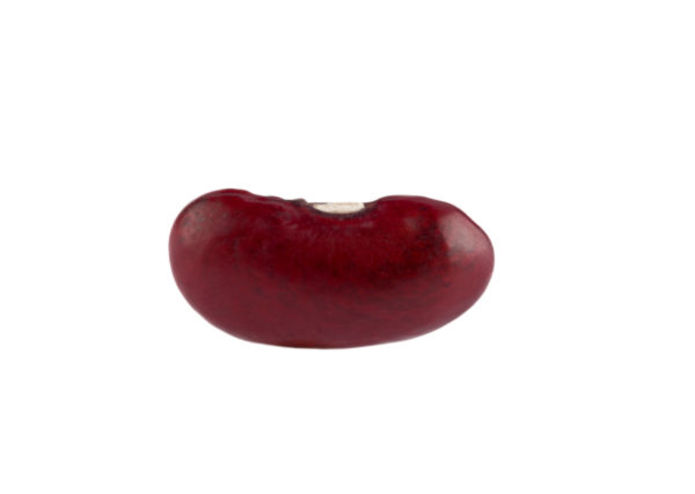 beep beep boop – screenshot 1