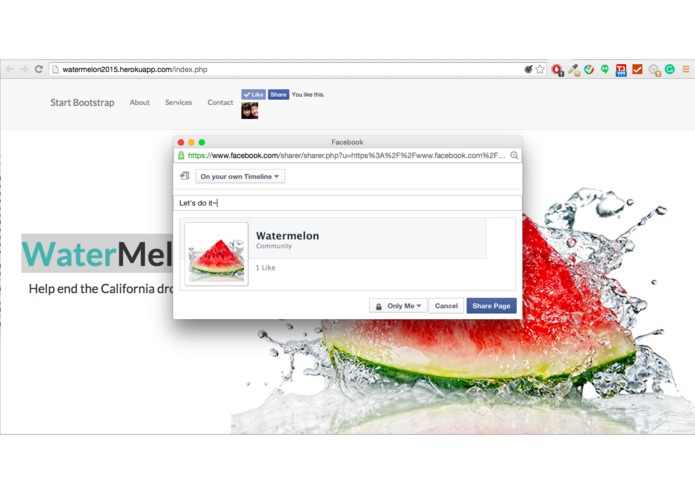 WaTerMelOn – screenshot 1