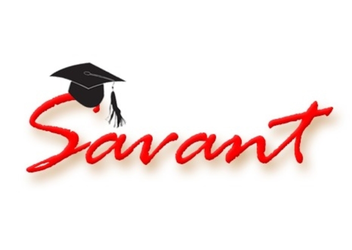 Savant – screenshot 2