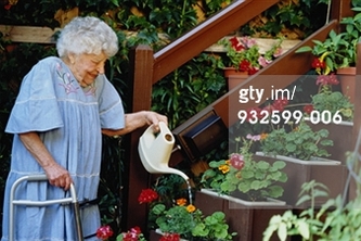 Challenge Garden
