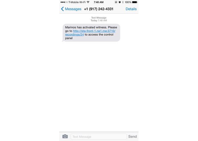 Witness – screenshot 2