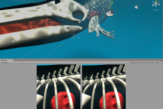 The Blue Whale Infographic Experience