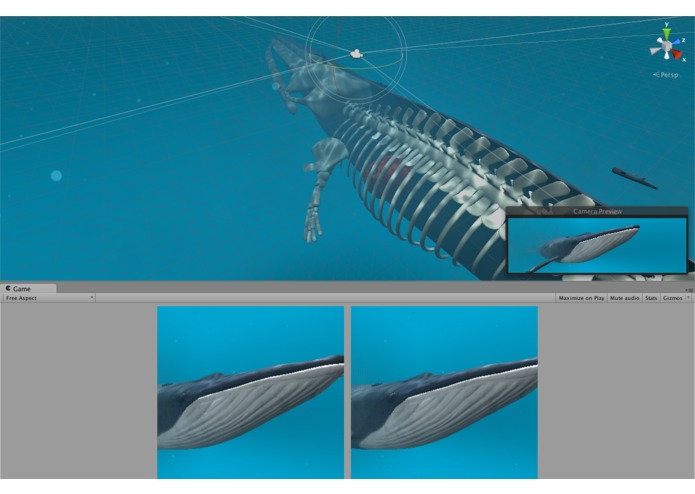 The Blue Whale Infographic Experience – screenshot 2