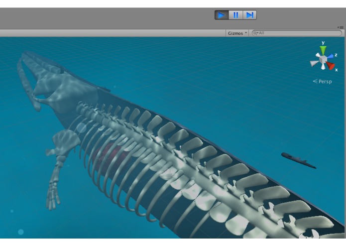 The Blue Whale Infographic Experience – screenshot 3
