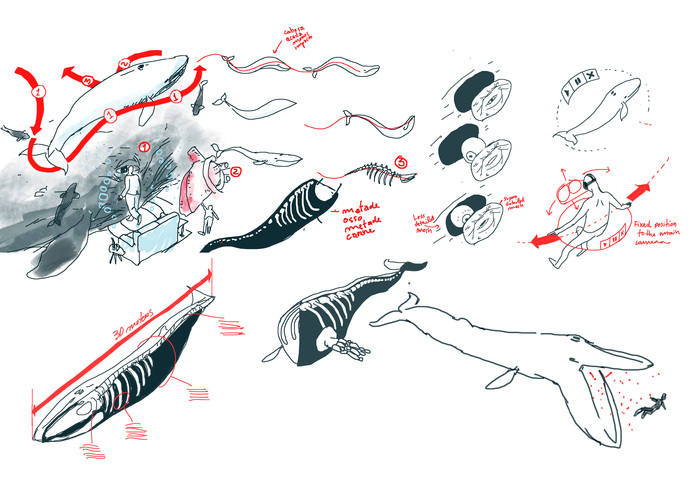 The Blue Whale Infographic Experience – screenshot 7