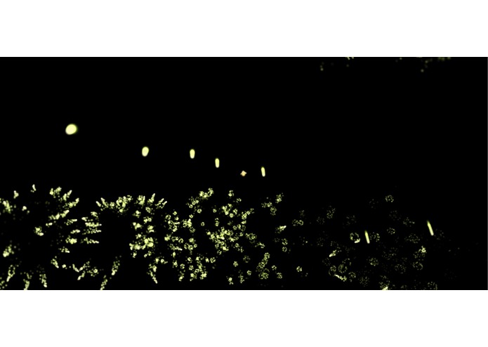 Bunny Fireworks VR – screenshot 4