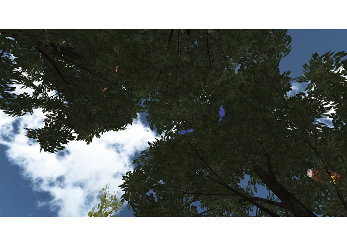 Birdwatching – screenshot 1