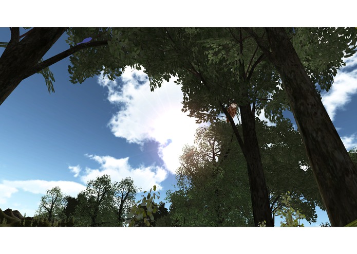 Birdwatching – screenshot 3