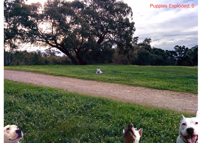 Pesky Puppies. – screenshot 2