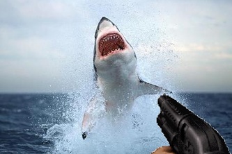 Extreme Fish Hunting