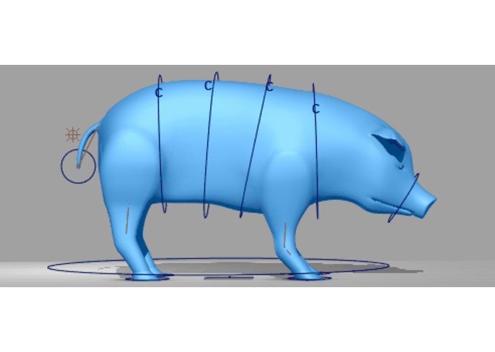 Pig Simulator – screenshot 3