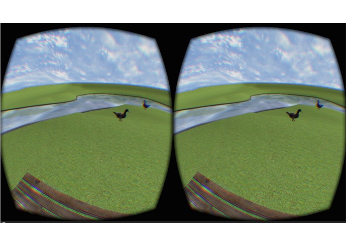 Duck Pond VR – screenshot 1