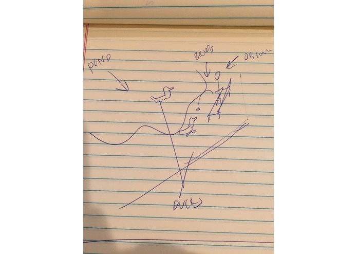 Duck Pond VR – screenshot 4