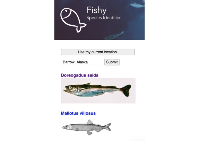 FishyID: Species Identifier – screenshot 1