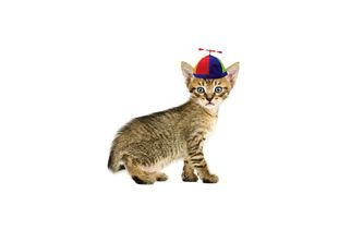 PropellerPet