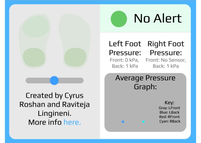 Pneuma - Pedobarographic Mapping for Neuropathy – screenshot 2