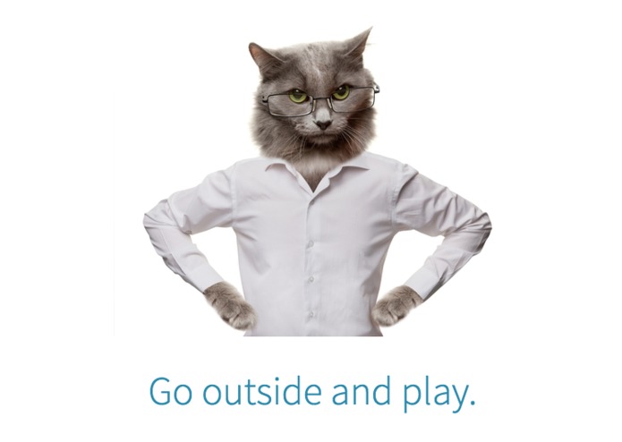 Screen Kitty – screenshot 1