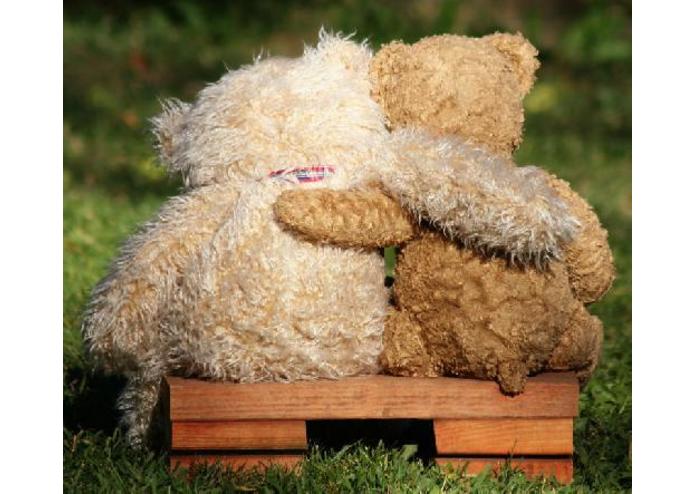 Teddy Bear Drive | Kimberly Collins – screenshot 1