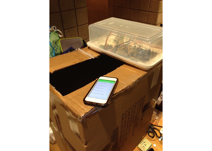 Social Cycle – screenshot 1