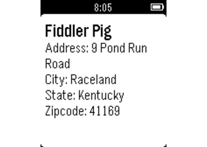 Capital Pebble – screenshot 2