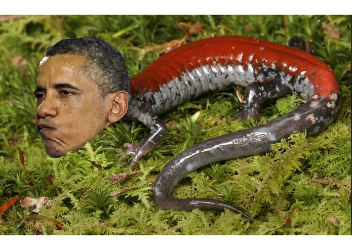 the government is reptiles – screenshot 1
