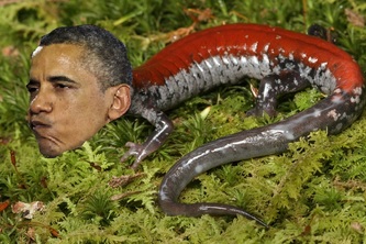 the government is reptiles