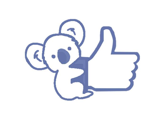 My Koala – screenshot 1