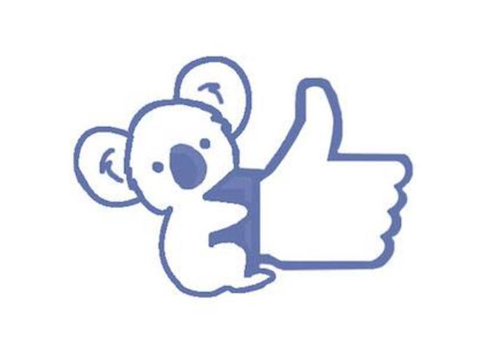 MyKoala – screenshot 1