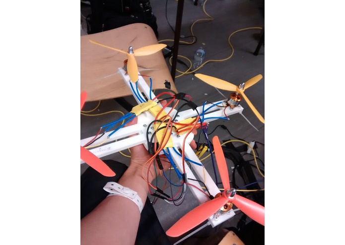 Fly Away – screenshot 1