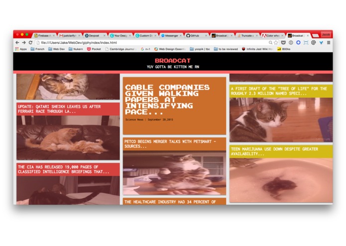 Broadcat – screenshot 1