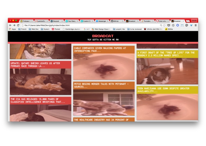 Broadcat – screenshot 2