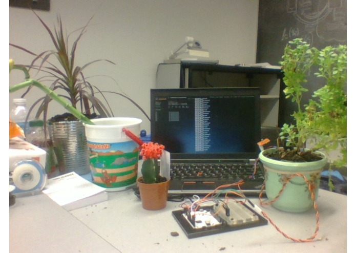 Bonsai – screenshot 4