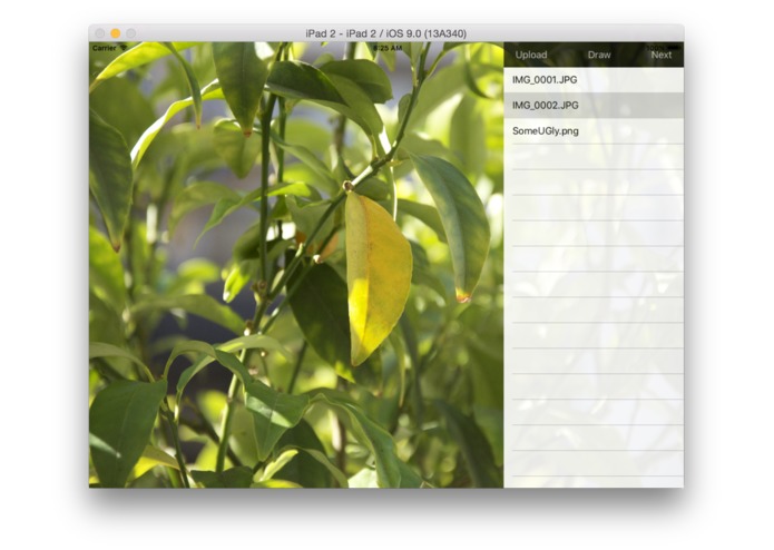 My Story Book – screenshot 6