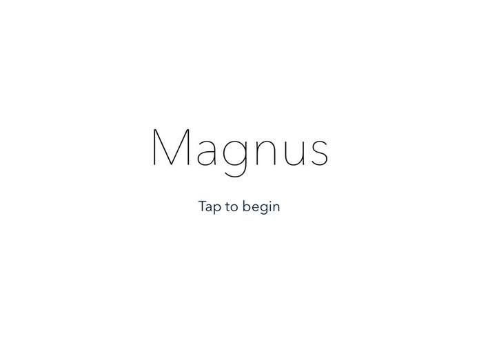 Magnus – screenshot 4