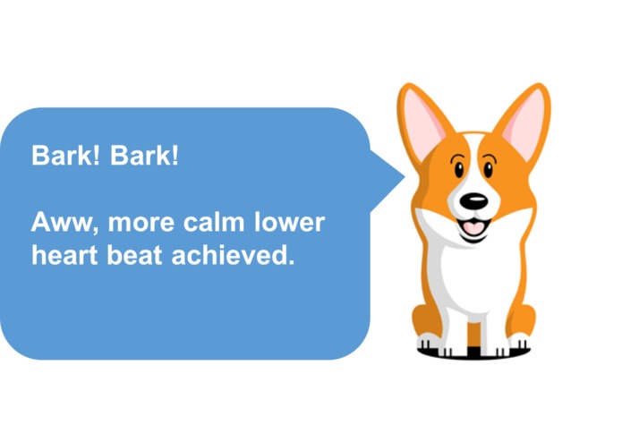 Corgi Co-Pilot – screenshot 4