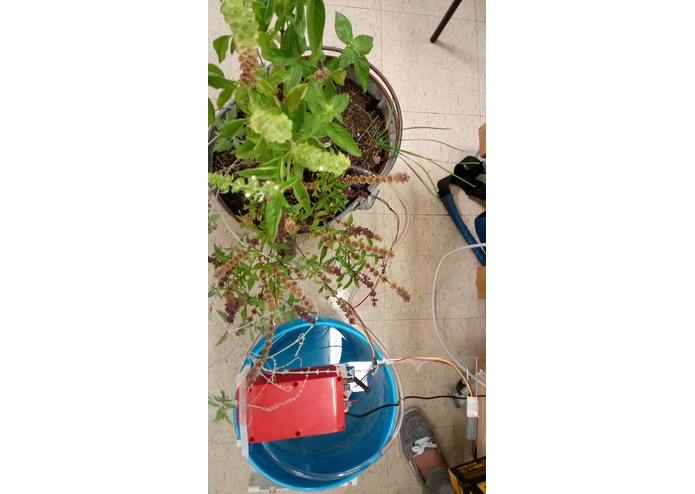 WaterBoard – screenshot 2