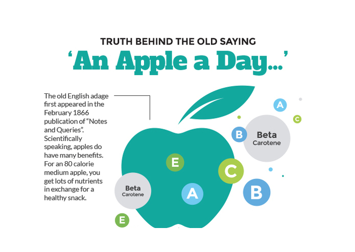 The Lecturer – screenshot 3