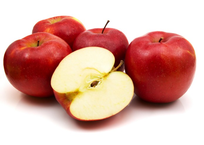 The Lecturer – screenshot 4