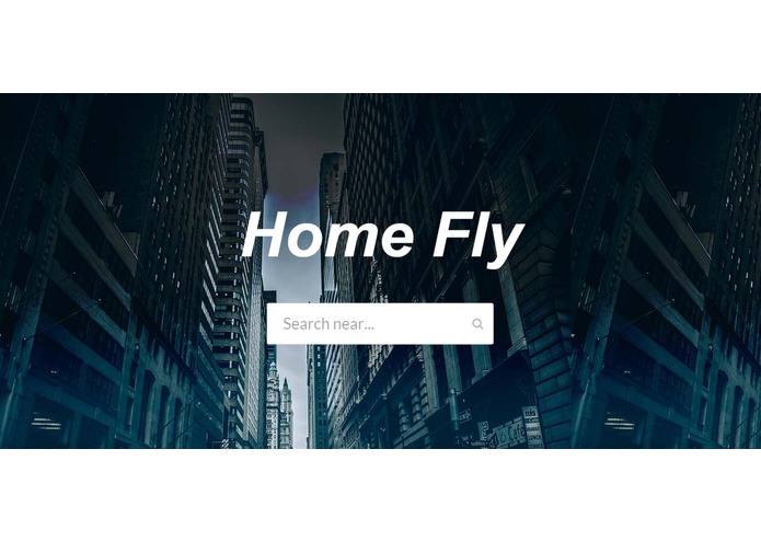 Home Fly – screenshot 1