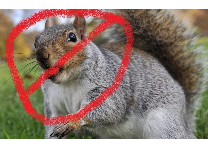 Squirrel Repellent  – screenshot 1