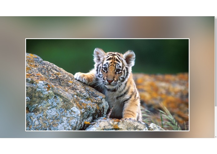 Super Fly – screenshot 10